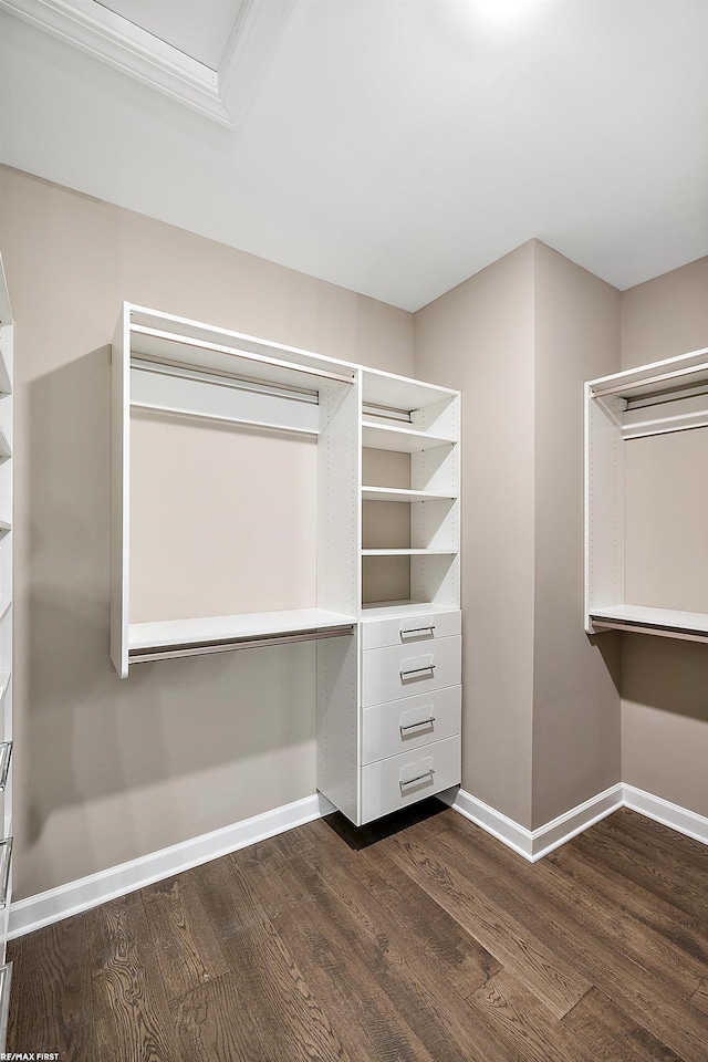 spacious closet featuring dark hardwood / wood-style flooring