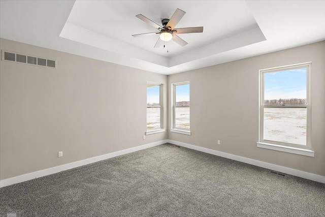 empty room with a wealth of natural light, ceiling fan, and a tray ceiling