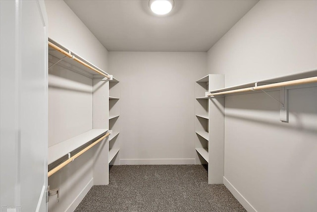 walk in closet with dark colored carpet