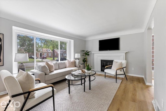 living room featuring a fireplace and light hardwood / wood-style flooring