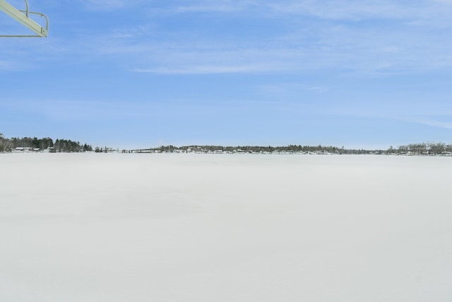 view of yard covered in snow