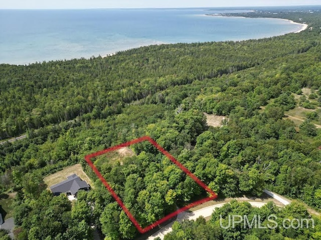 6035W Dillexie Ln, Manistique MI, 49854 land for sale