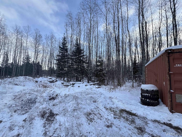 view of yard covered in snow