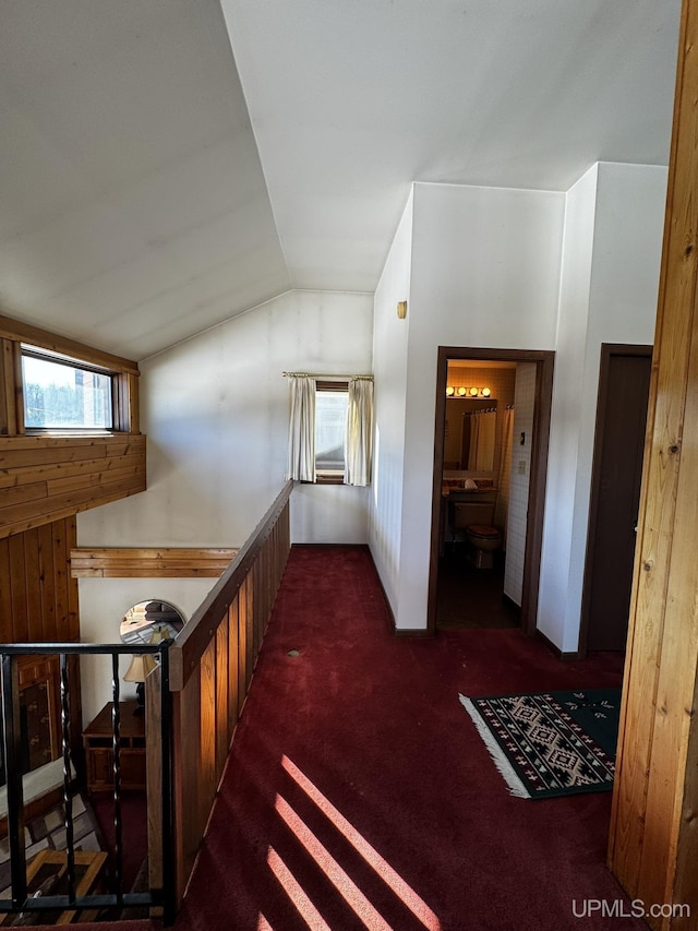 hallway with lofted ceiling, plenty of natural light, wood walls, and dark colored carpet