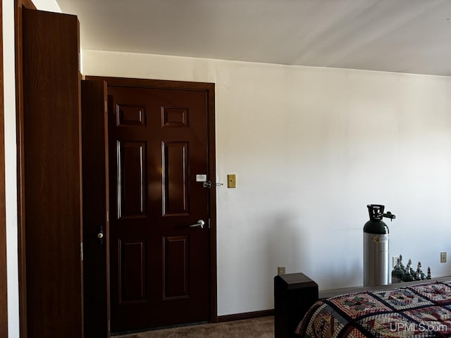 bedroom with carpet flooring