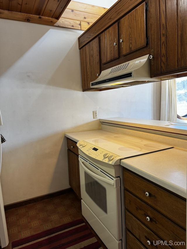 kitchen featuring electric stove and dark brown cabinetry