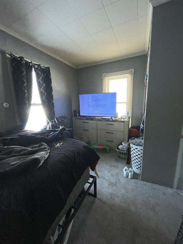 carpeted bedroom with crown molding