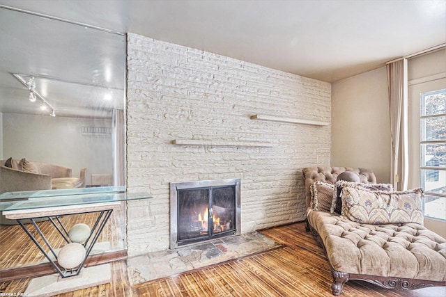 living room with a stone fireplace, wood-type flooring, a healthy amount of sunlight, and track lighting