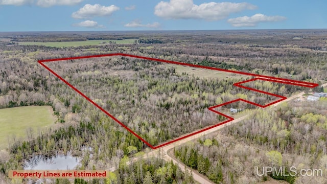 TBD June Rd, Trenary, MI 49878