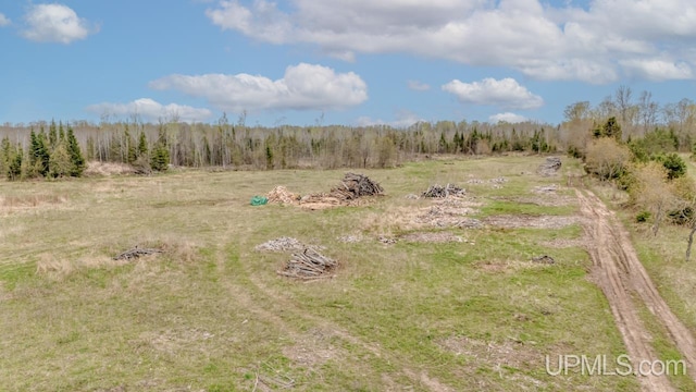 TBD June Rd, Trenary, MI 49878