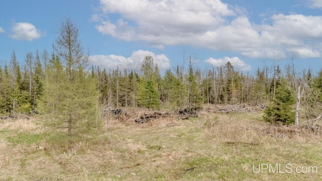 TBD June Rd, Trenary, MI 49878