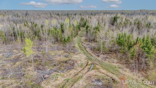 TBD June Rd, Trenary, MI 49878