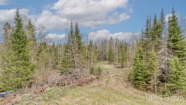 TBD June Rd, Trenary, MI 49878