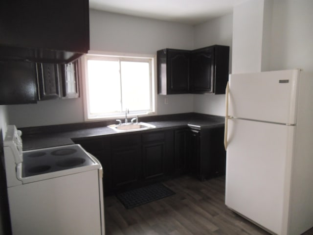 kitchen with dark wood-type flooring, white appliances, ventilation hood, and sink