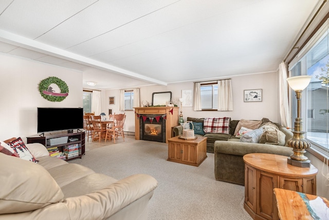 view of carpeted living room