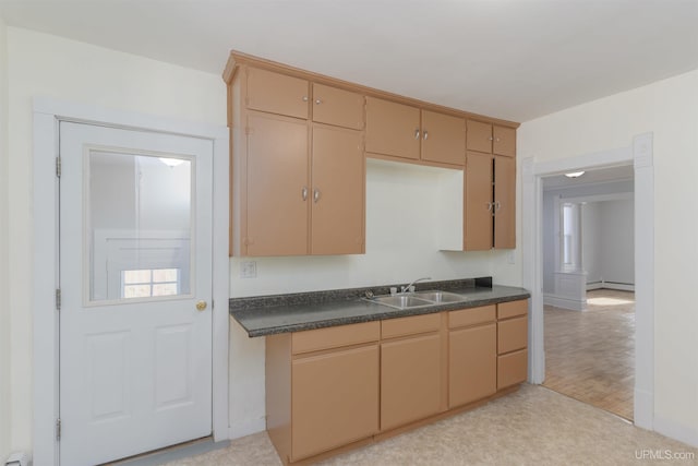 kitchen with sink, light hardwood / wood-style flooring, and a baseboard heating unit