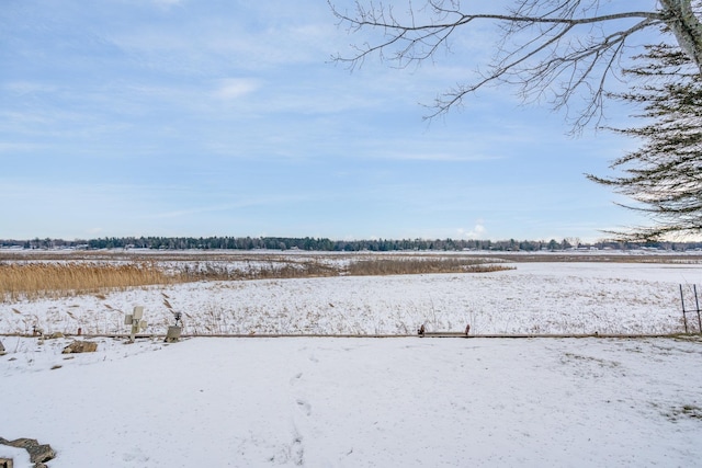 view of yard covered in snow