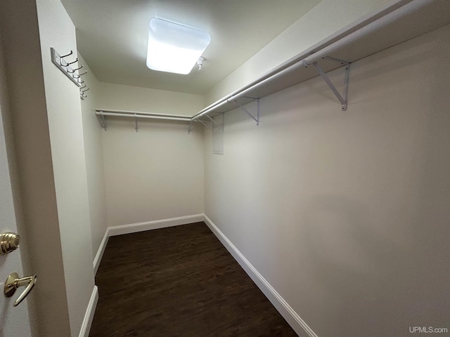 walk in closet with dark hardwood / wood-style floors