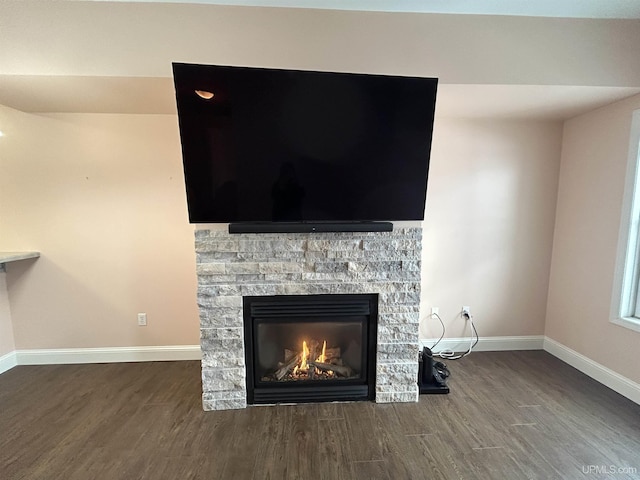 interior details with wood-type flooring and a fireplace