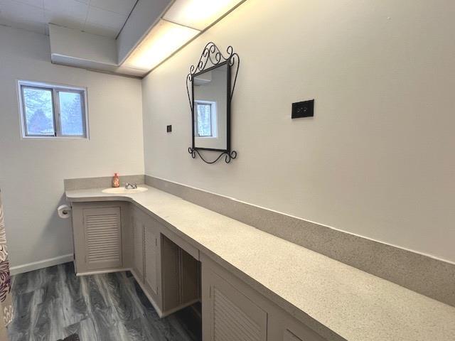 bathroom with hardwood / wood-style flooring and vanity