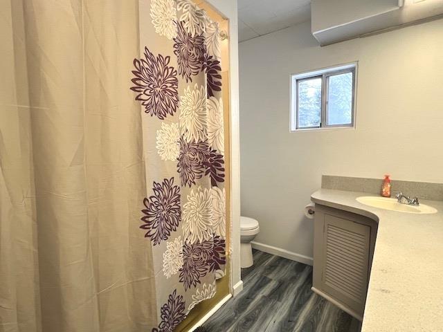 bathroom featuring hardwood / wood-style flooring, vanity, and toilet