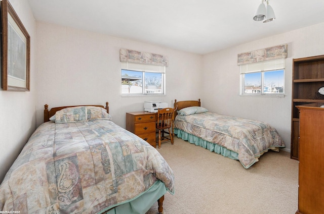 bedroom with multiple windows and carpet floors