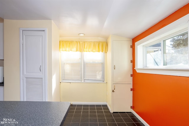 entryway featuring lofted ceiling and dark tile patterned floors