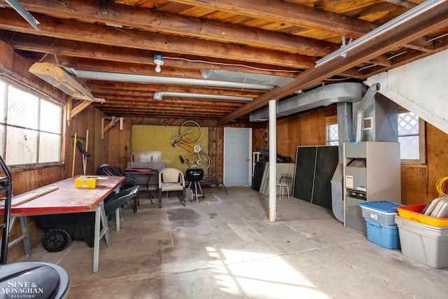 basement with wood walls