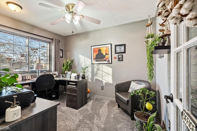 home office featuring ceiling fan, a textured ceiling, and carpet flooring