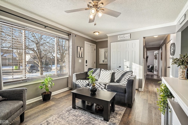 living room featuring crown molding, ceiling fan, hardwood / wood-style flooring, and a textured ceiling