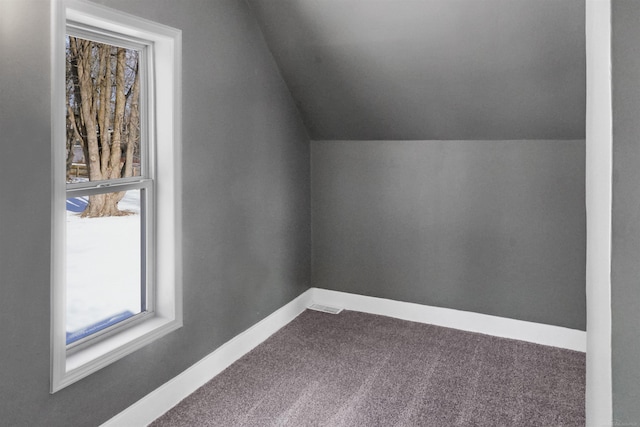 additional living space featuring vaulted ceiling and carpet