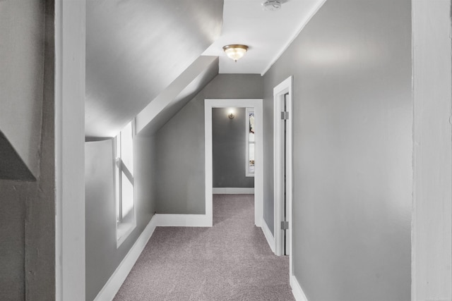 additional living space featuring lofted ceiling and carpet floors