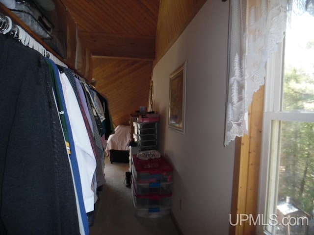 view of spacious closet