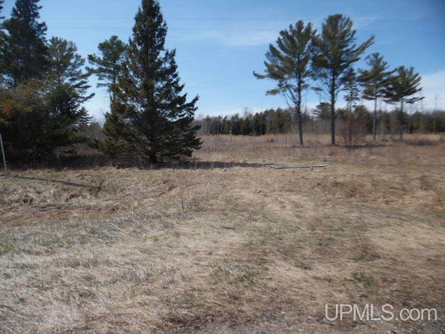 view of local wilderness