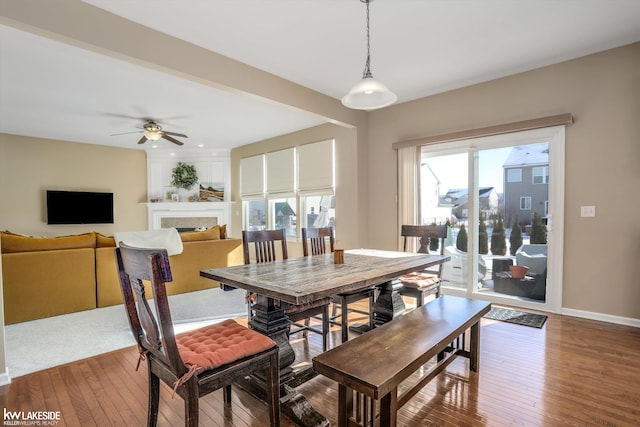 dining area with hardwood / wood-style flooring and ceiling fan