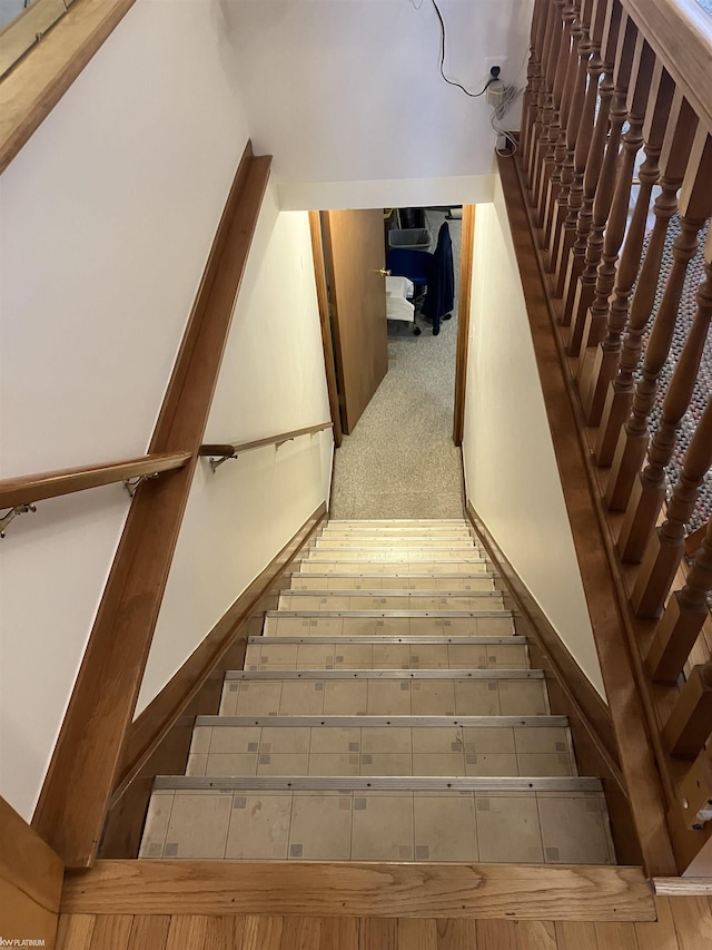 stairway featuring carpet flooring