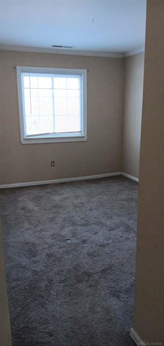 carpeted empty room featuring ornamental molding