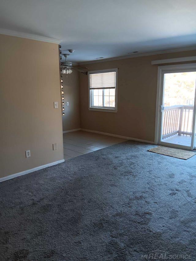 unfurnished room featuring crown molding and carpet flooring