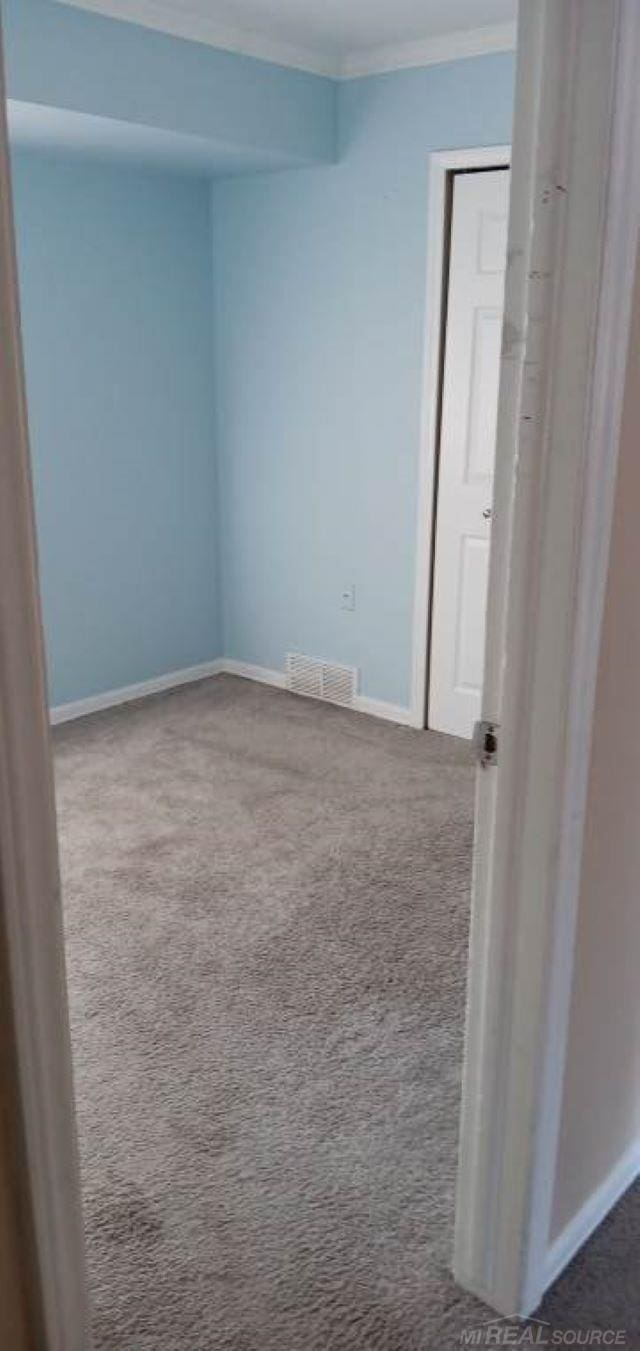 spare room featuring crown molding and carpet flooring