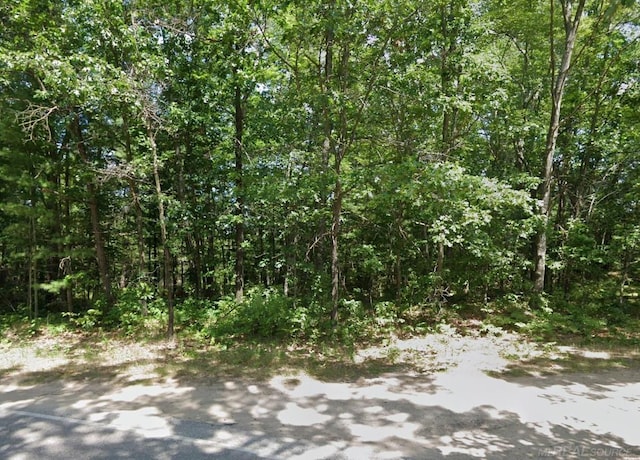 8656 N Blair Dr, Bitely MI, 49309 land for sale