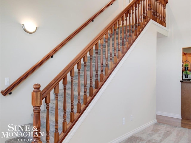 stairway featuring carpet