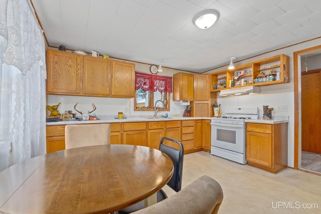 kitchen with sink and white gas stove