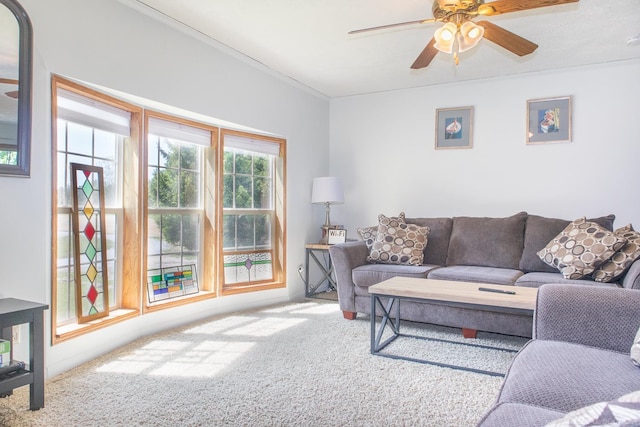 living room with ceiling fan and carpet flooring