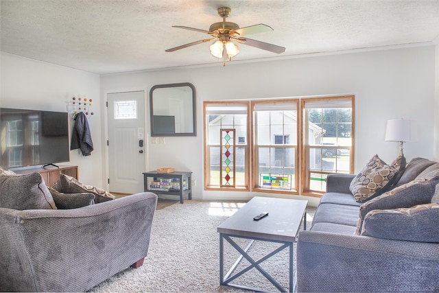 living room featuring a healthy amount of sunlight, carpet flooring, and a textured ceiling