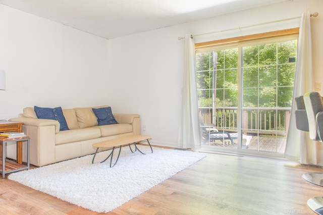 living room with hardwood / wood-style flooring