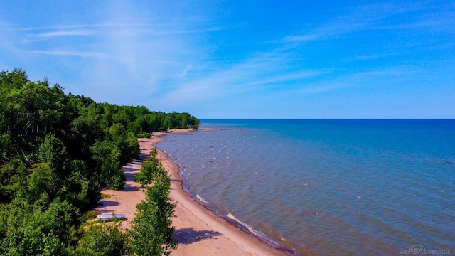 property view of water featuring a beach view