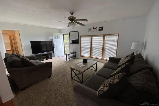 living room with ceiling fan and carpet