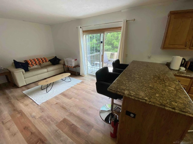 living room with light wood-type flooring