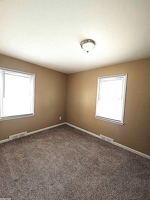 unfurnished room with plenty of natural light and carpet flooring