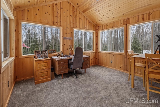 carpeted office space featuring lofted ceiling, a wealth of natural light, and wooden ceiling